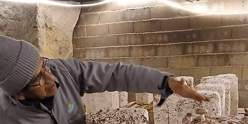 Les secrets de la champignonni\u00e8re de Scorb\u00e9-Clairvaux