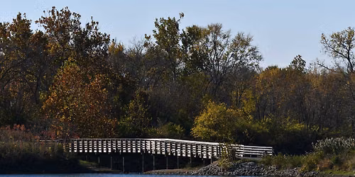 Fall Frolic