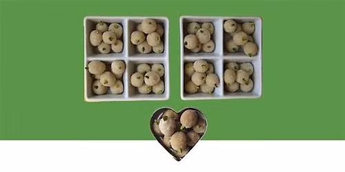 Persian Mulberry Sweets: A No-Bake Confectionery Class