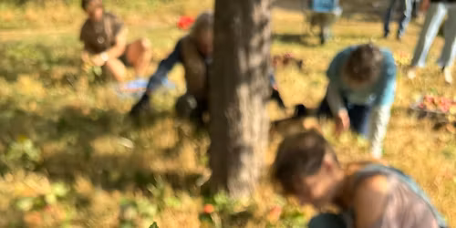 Fruitbomen enten met Guy De Kinder