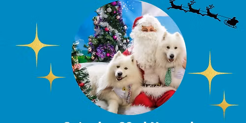 Samoyeds of WA Rescue Christmas Pawty 2025