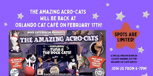 Clicker Training with Samantha Martin of The Amazing Acro-Cats!