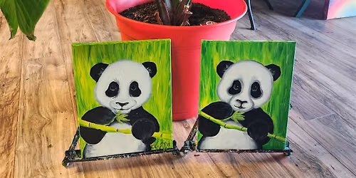 Baby Panda - family class 6+