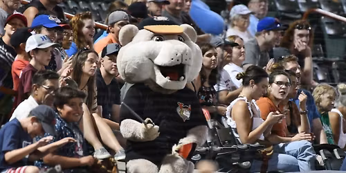 Tri-City ValleyCats at Ottawa Titans