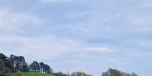 Progressive Polework AB1312