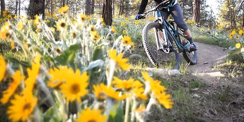 Spokane, WA Ladies AllRide Mountain Bike Skills Camp for Women