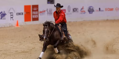 The Run for a Million - Cow Horse Challenge at South Point Hotel and Casino - South Point Arena