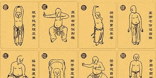 Daoyin: Animals + Elements