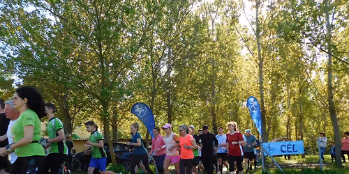 B\u00f6lcskei Kikelet 2026