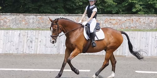 Unaffiliated Dressage