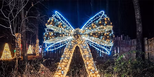 Christmas Wonderland - The Woodlands