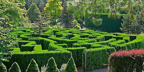 VanDusen Botanical Garden ($16)