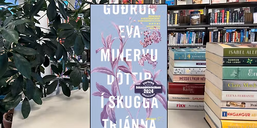 Lesi\u00f0 \u00e1 milli l\u00ednanna