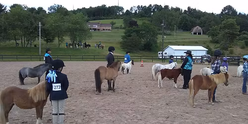 WRC Open Show\/WRC Mini Show Series