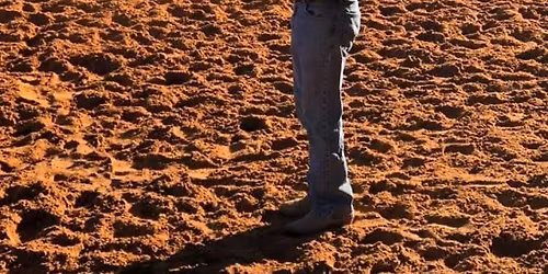 horsemanship clinic and Camp