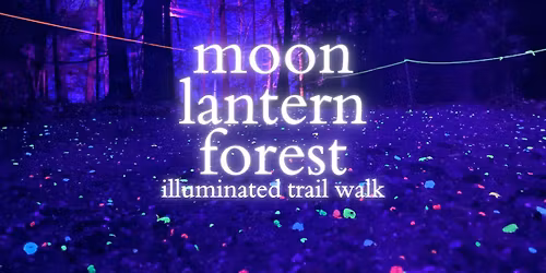 Moon Lantern Forest - Illuminated Trail Walk