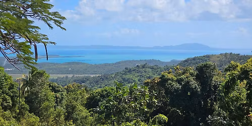 Dia national de la salsa!! 