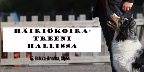 H\u00e4iri\u00f6koiratreeni