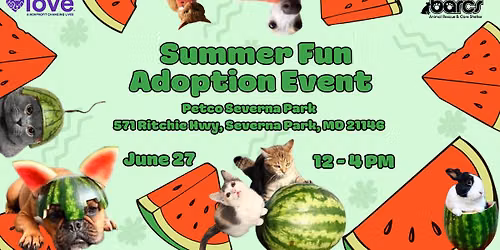 Summer Fun Adoption Event at Petco Severna Park