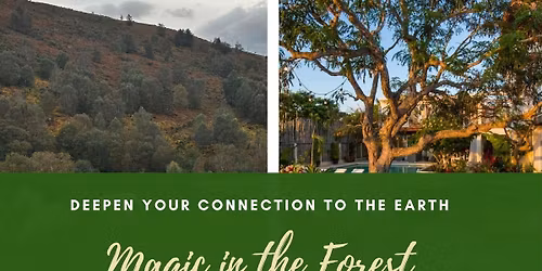 Magic in the Forest - yoga, sound bath, forest bathing