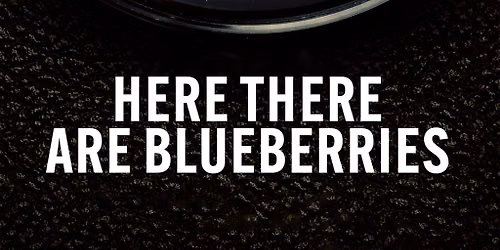 Here There Are Blueberries