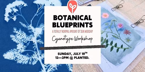 Botanical Blueprints Class: A Totally Normal Amount of Sun Worship