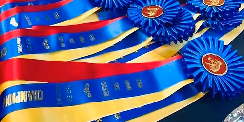GAHA Awards & Meeting Luncheon with Silent Auction - Covington, GA