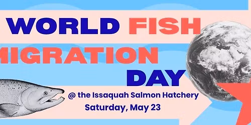 World Fish Migration Day at the Issaquah Salmon Hatchery