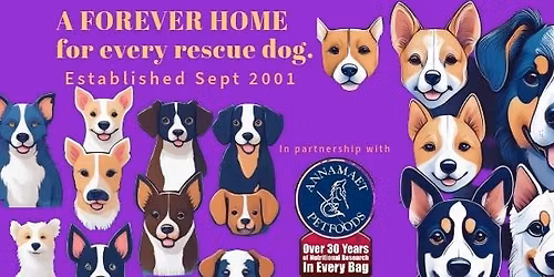 AFH @ BRADDOCK BARK