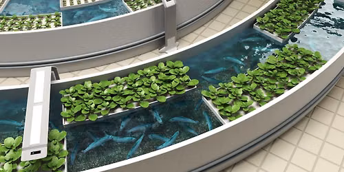 Aquaponics