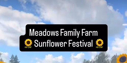 Sunflower Festival