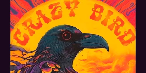 Crazy Bird