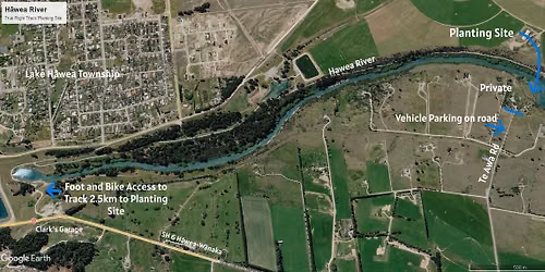 Join us for our Next Community Planting Day - Lake H\u0101wea River Track