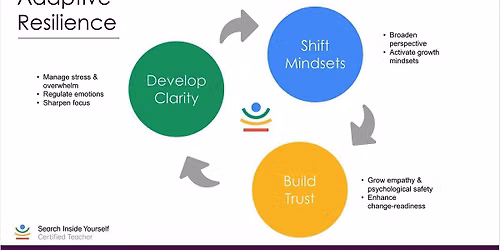Adaptive Resilience: Mindfulness & Emotional Intelligence for Change