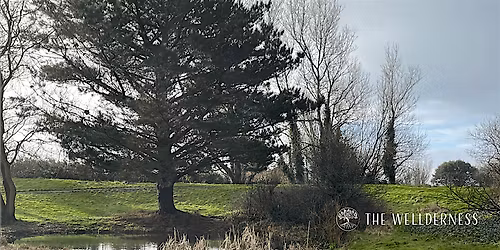 Community Garden Social