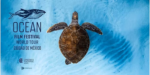 OCEAN  FILM FESTIVAL WT CDMX 2026
