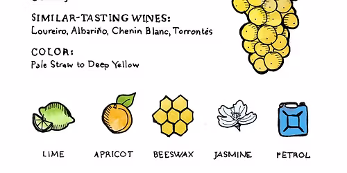 Kr\u00f3l Bia\u0142ych Odmian - Riesling x8: Wroc\u0142awskie Warsztaty Wina