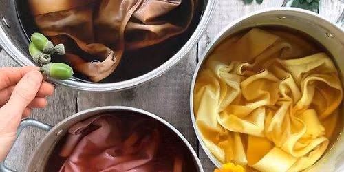 Atelier d'Exp\u00e9rimentation de la teinture v\u00e9g\u00e9tale