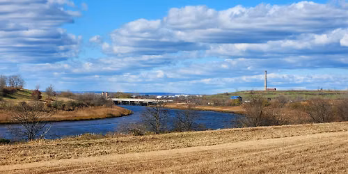 Freshkills Park: Nature Walk
