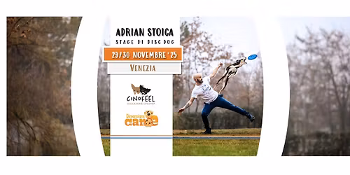 Adrian Stoica: Disc Dog stage a VENEZIA