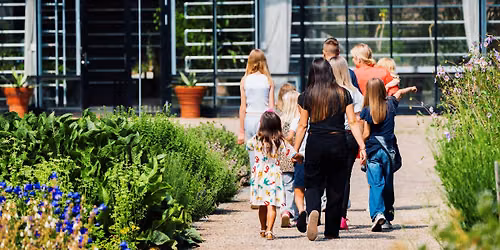 Sommeraktiviteter i Botanisk Have for hele familien