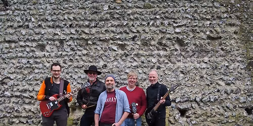 LIVE MUSIC - The Reservoir Bods