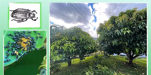 Organic Plant Pest Control Workshop