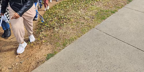 Neighborhood Walk: North Downtown