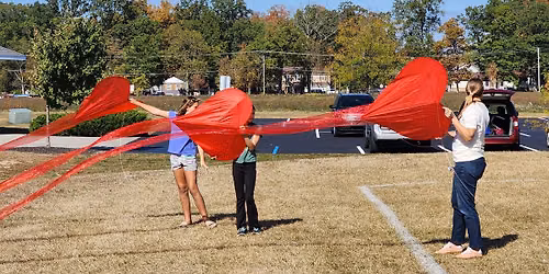 One Sky, One World Kite Fly