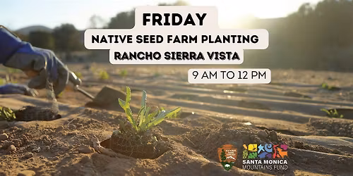 Friday Volunteer Planting: RSV Native Seed Farm