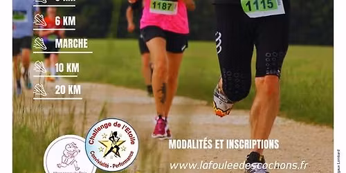 La Foul\u00e9e des Cochons