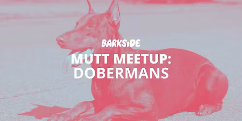 Mutt Meetup: Dobermans