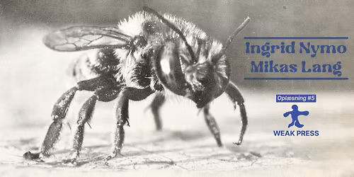Opl\u00e6sning #5 \u2013 Ingrid Nymo & Mikas Lang