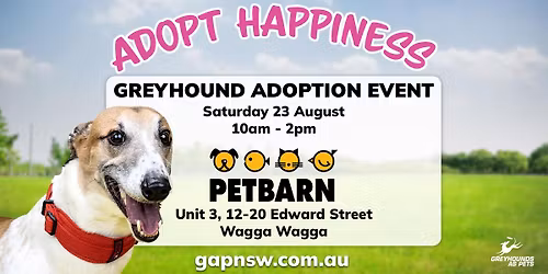 Greyhound Adoption Event | Petbarn Wagga